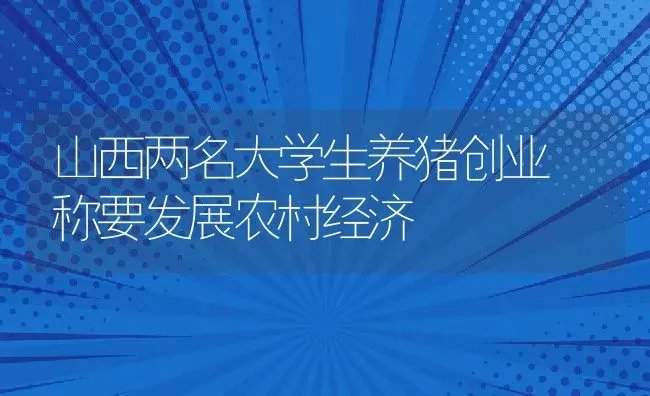 山西两名大学生养猪创业 称要发展农村经济 | 动物养殖教程