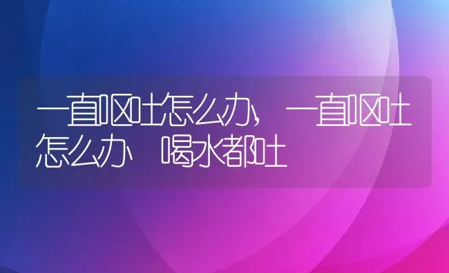 一直呕吐怎么办,一直呕吐怎么办 喝水都吐 | 宠物百科知识