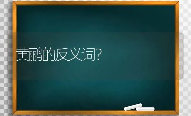 黄鹂的反义词？ | 动物养殖问答