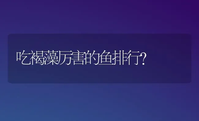 吃褐藻厉害的鱼排行？ | 动物养殖问答