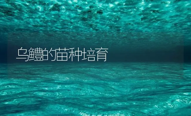 乌鳢的苗种培育 | 海水养殖技术