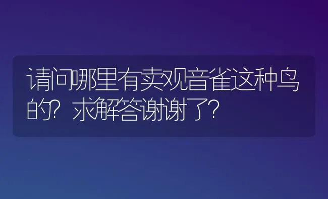 请问哪里有卖观音雀这种鸟的？求解答谢谢了？ | 动物养殖问答