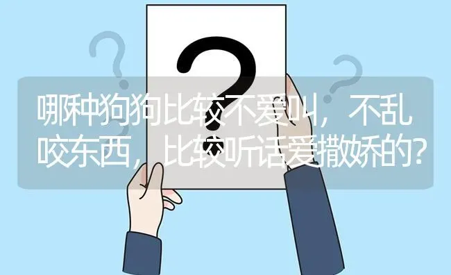 哪种狗狗比较不爱叫，不乱咬东西，比较听话爱撒娇的？ | 动物养殖问答