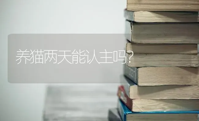 萨路基猎犬和细犬速度谁快？ | 动物养殖问答