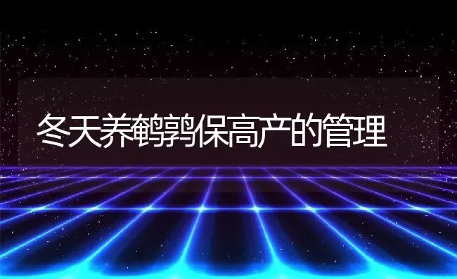 冬天养鹌鹑保高产的管理 | 动物养殖教程