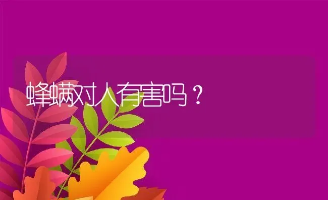 蜂螨对人有害吗？ | 动物养殖百科