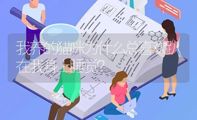 我养的猫咪为什么总喜欢趴在我身上睡觉？ | 动物养殖问答