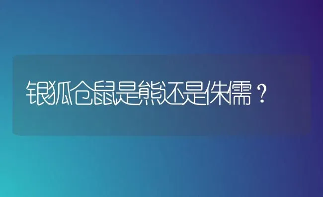 银狐仓鼠是熊还是侏儒？ | 动物养殖问答