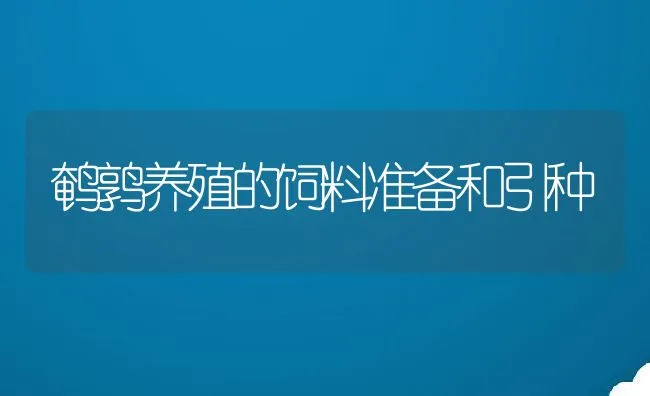 鹌鹑养殖的饲料准备和引种 | 动物养殖学堂