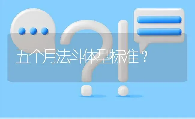 五个月法斗体型标准？ | 动物养殖问答