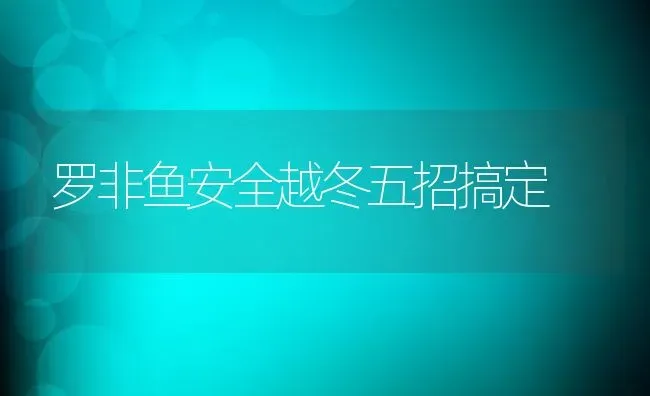 罗非鱼安全越冬五招搞定 | 动物养殖百科