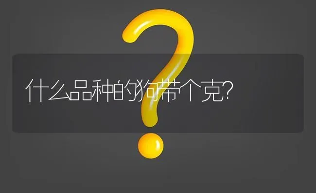 什么品种的狗带个克？ | 动物养殖问答