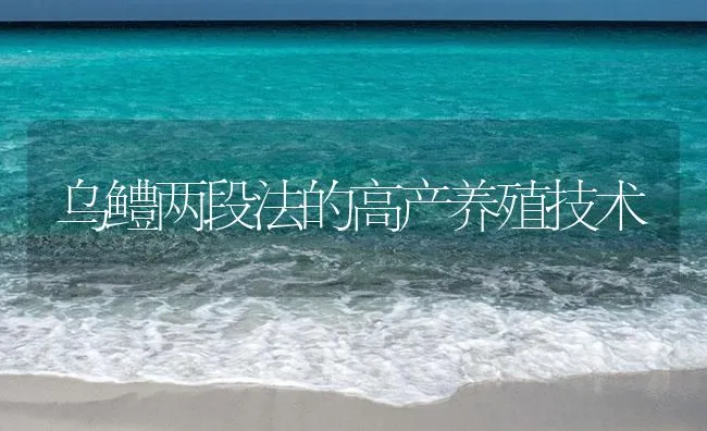 乌鳢两段法的高产养殖技术 | 海水养殖技术