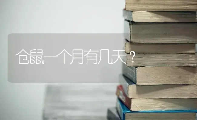 仓鼠一个月有几天？ | 动物养殖问答