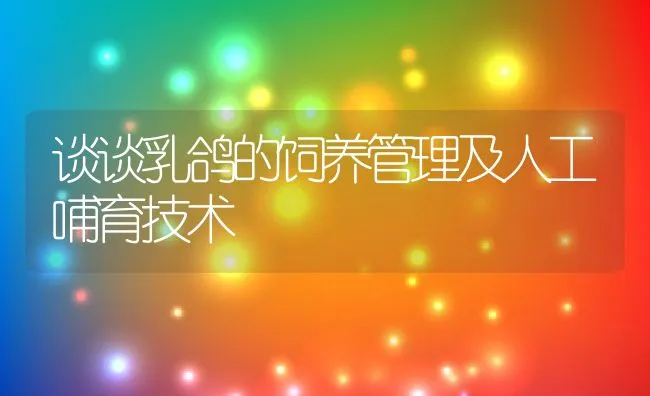 谈谈乳鸽的饲养管理及人工哺育技术 | 动物养殖饲料