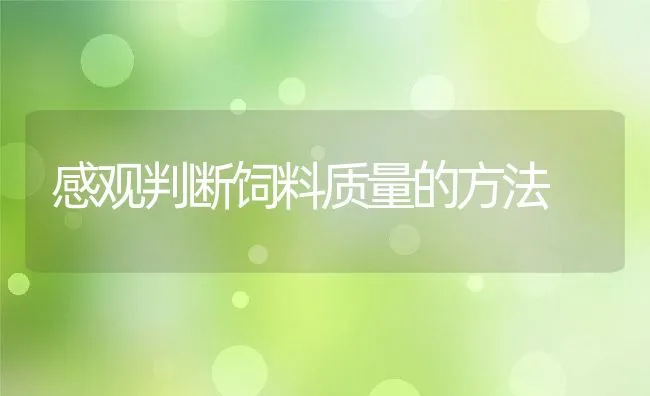 感观判断饲料质量的方法 | 动物养殖饲料