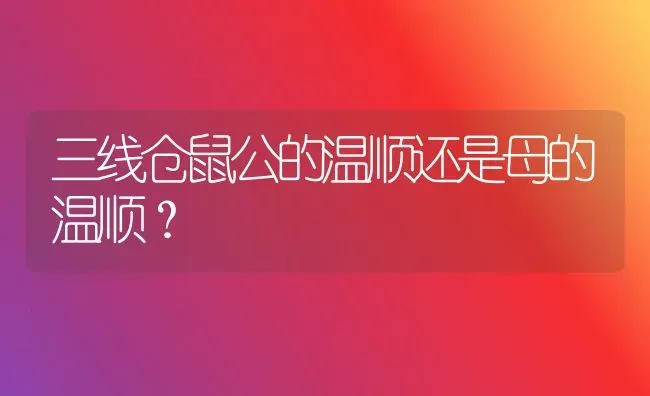 三线仓鼠公的温顺还是母的温顺？ | 动物养殖问答