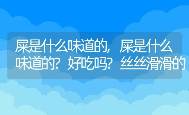 屎是什么味道的,屎是什么味道的?好吃吗?丝丝滑滑的 | 宠物百科知识