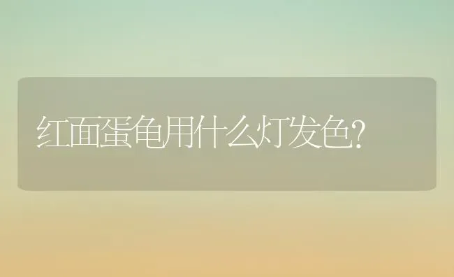 红面蛋龟用什么灯发色？ | 动物养殖问答