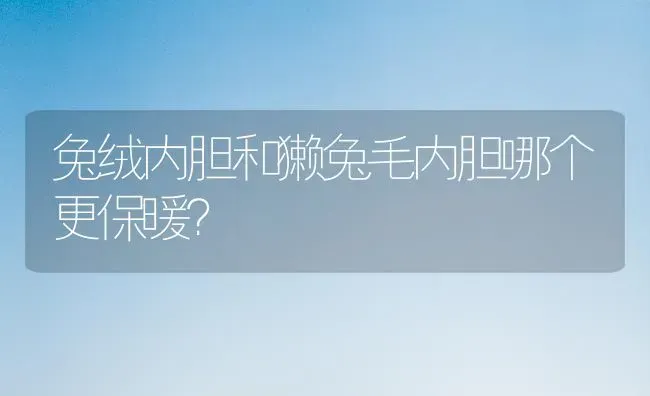 兔绒内胆和獭兔毛内胆哪个更保暖？ | 动物养殖问答