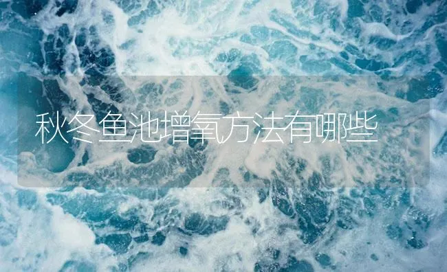 秋冬鱼池增氧方法有哪些 | 海水养殖技术