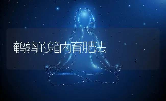 鹌鹑的箱内育肥法 | 动物养殖教程