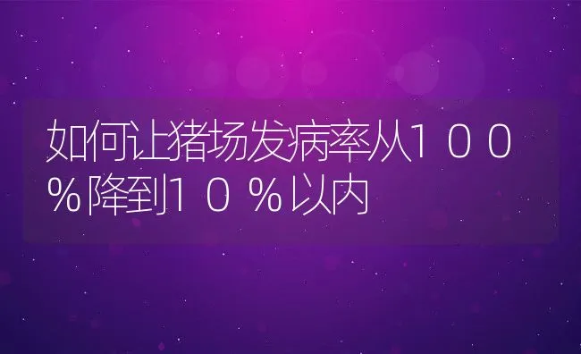 如何让猪场发病率从100%降到10%以内 | 动物养殖学堂