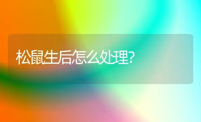 松鼠生后怎么处理？ | 动物养殖问答