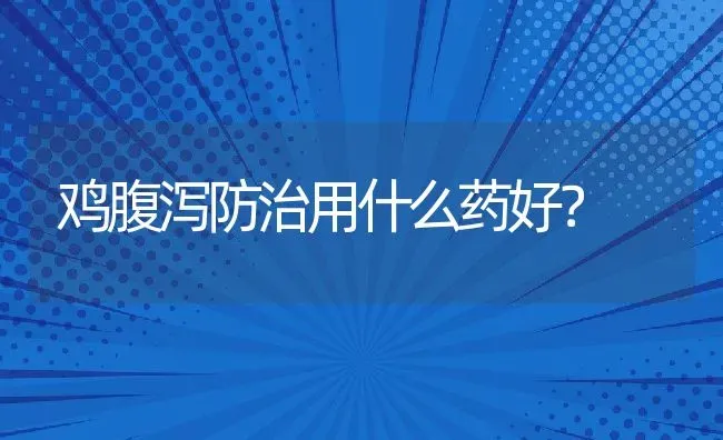 鸡腹泻防治用什么药好？ | 动物养殖教程