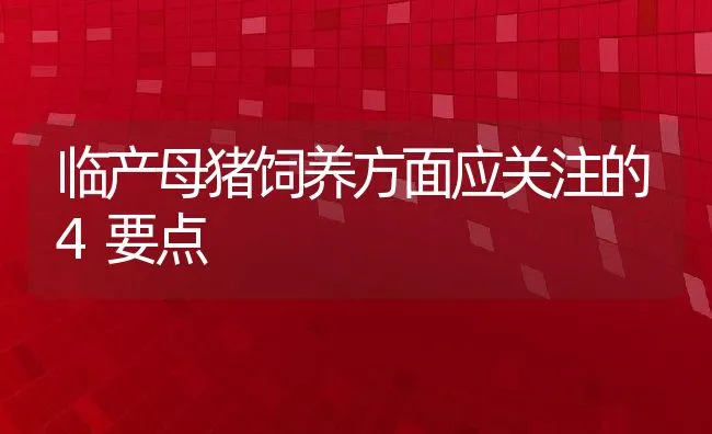 临产母猪饲养方面应关注的4要点 | 动物养殖饲料