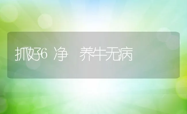 抓好6净 养牛无病 | 动物养殖学堂