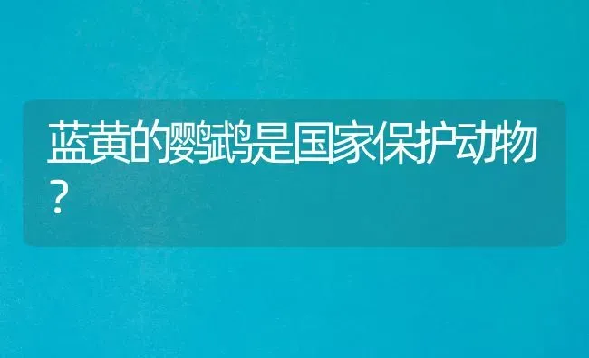 蓝黄的鹦鹉是国家保护动物？ | 动物养殖问答