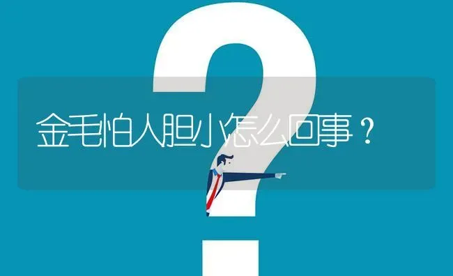 金毛怕人胆小怎么回事？ | 动物养殖问答