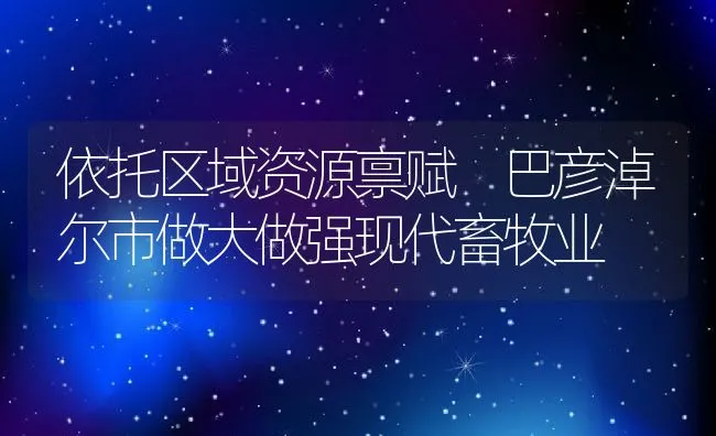 依托区域资源禀赋 巴彦淖尔市做大做强现代畜牧业 | 动物养殖饲料