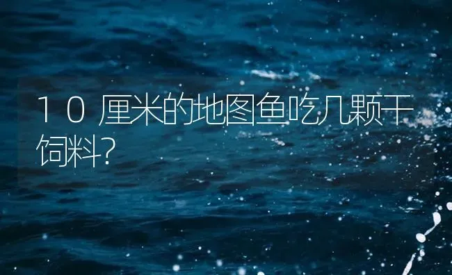 10厘米的地图鱼吃几颗干饲料？ | 鱼类宠物饲养