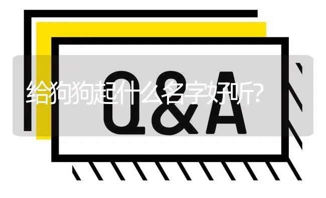 给狗狗起什么名字好听？ | 动物养殖问答