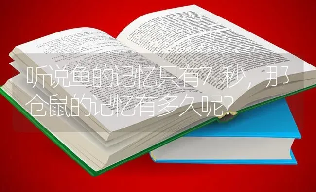 听说鱼的记忆只有7秒，那仓鼠的记忆有多久呢？ | 动物养殖问答