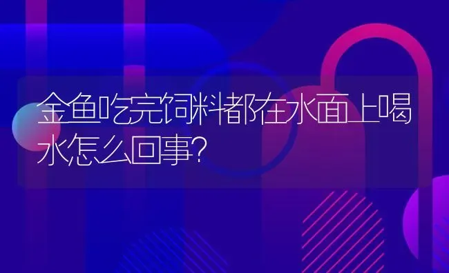 金鱼吃完饲料都在水面上喝水怎么回事？ | 鱼类宠物饲养