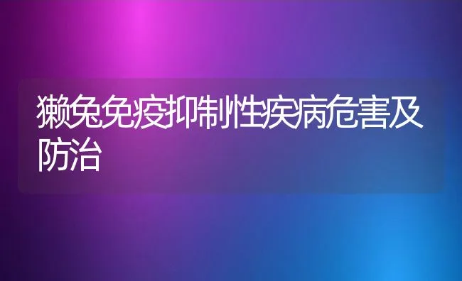 獭兔免疫抑制性疾病危害及防治 | 动物养殖学堂