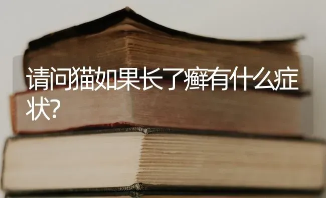 给泰迪狗狗取什么名字好听呢？ | 动物养殖问答