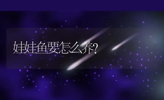 娃娃鱼要怎么养？ | 动物养殖百科