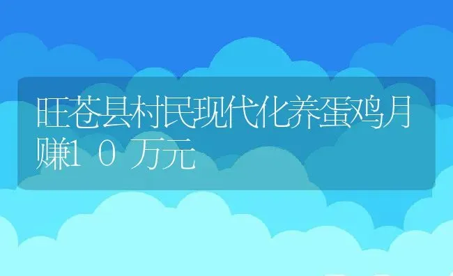 旺苍县村民现代化养蛋鸡月赚10万元 | 动物养殖教程