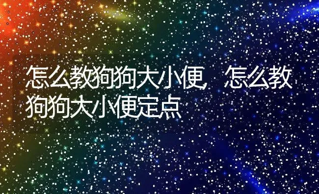 怎么教狗狗大小便,怎么教狗狗大小便定点 | 宠物百科知识