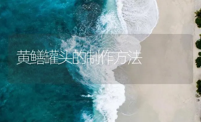 黄鳝罐头的制作方法 | 海水养殖技术