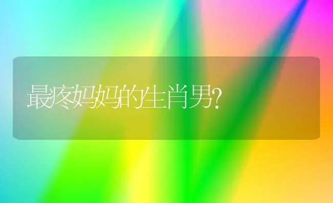 最疼妈妈的生肖男？ | 动物养殖问答