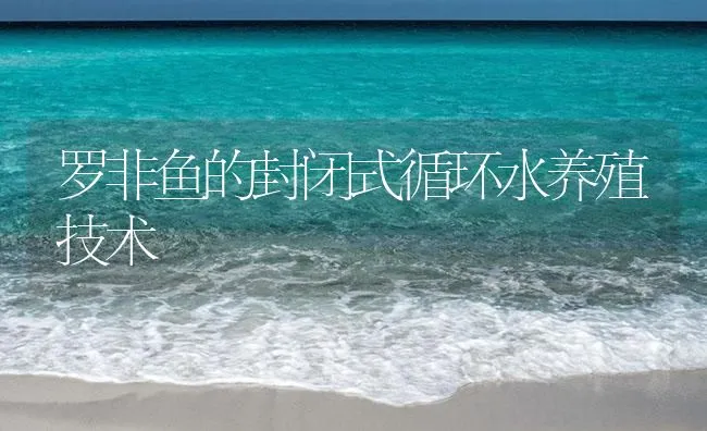 罗非鱼的封闭式循环水养殖技术 | 海水养殖技术