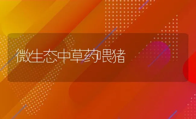 肉鹅高效养殖技术 (一) | 动物养殖饲料