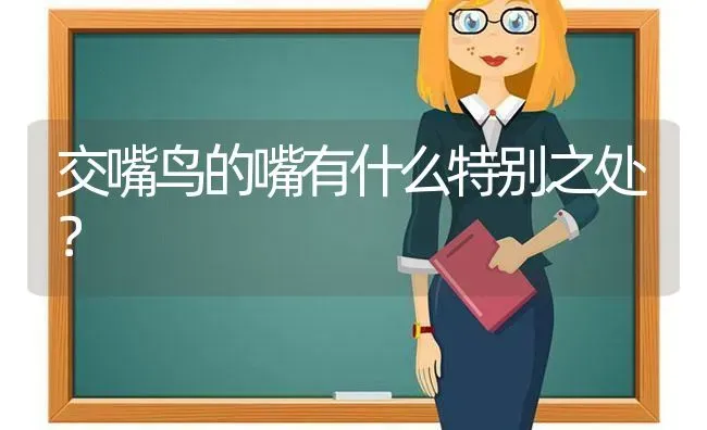 交嘴鸟的嘴有什么特别之处？ | 动物养殖问答