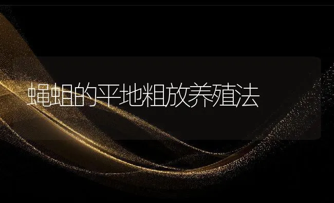 蝇蛆的平地粗放养殖法 | 动物养殖饲料
