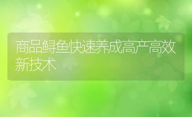 商品鲟鱼快速养成高产高效新技术 | 动物养殖饲料